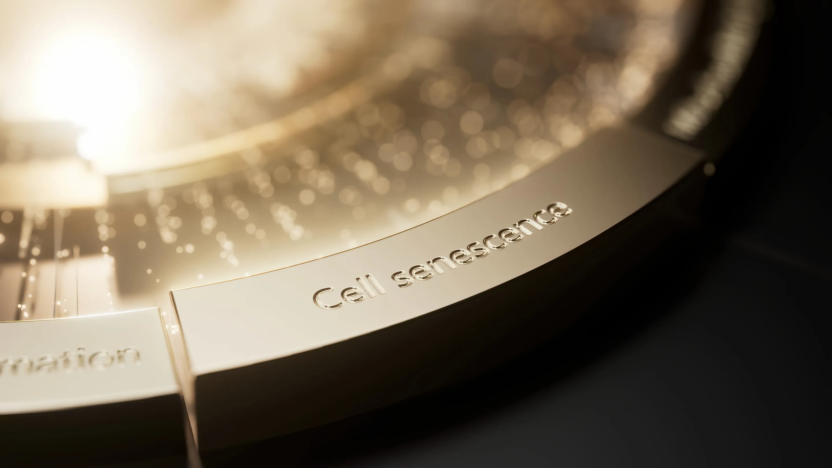Kérastase Chronologiste Science, 3D Animations